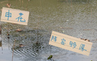  申花替補(bǔ)陣容，國(guó)腳主力，中超榜首霸主。