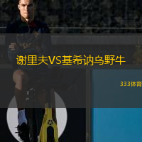  謝里夫VS基希訥烏野牛