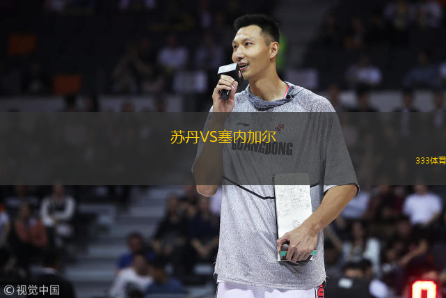  蘇丹VS塞內(nèi)加爾