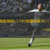  海登海姆U17VS格雷特霍夫U17