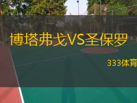  博塔弗戈VS圣保羅