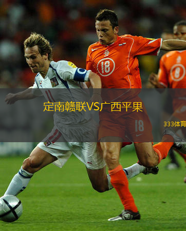  定南贛聯(lián)VS廣西平果