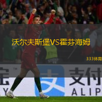  沃爾夫斯堡VS霍芬海姆