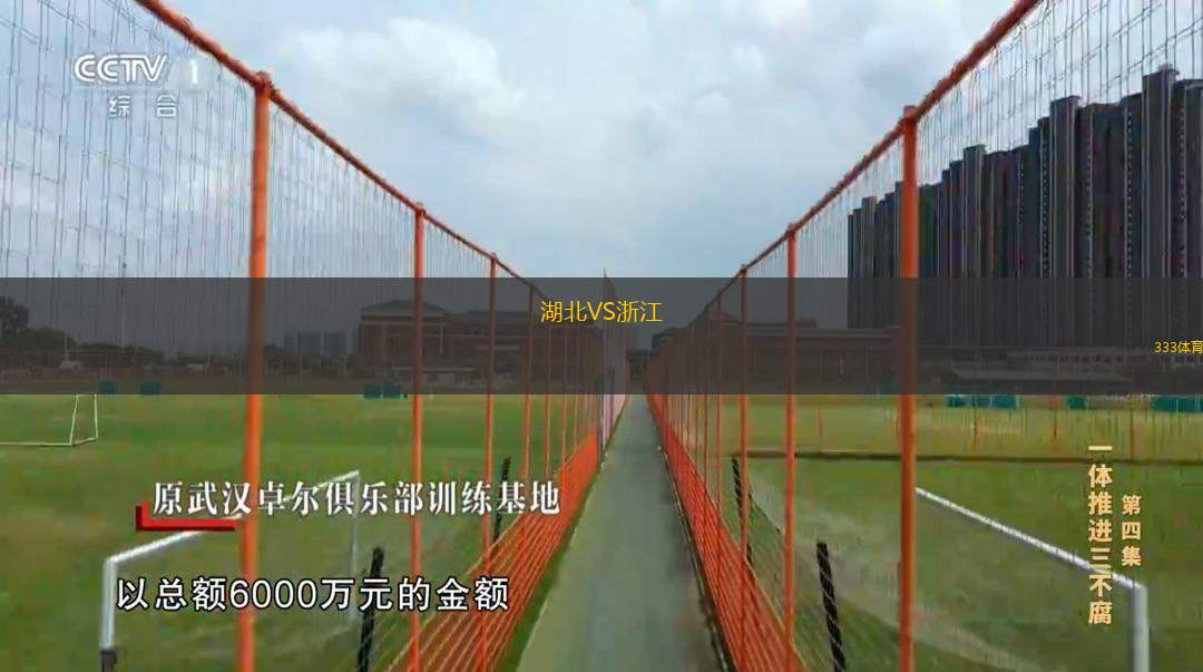  湖北VS浙江